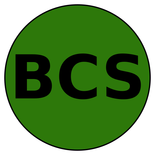 Bespoke Career Solutions